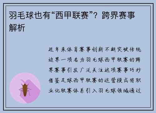 羽毛球也有“西甲联赛”？跨界赛事解析