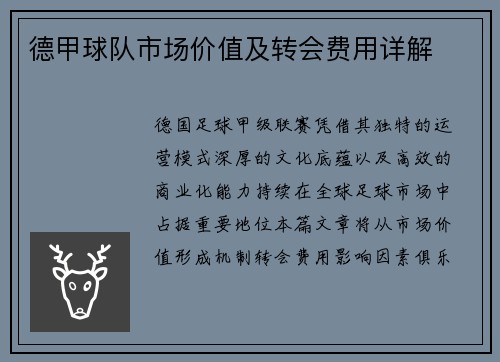 德甲球队市场价值及转会费用详解